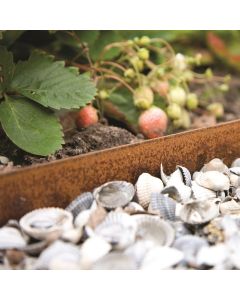 Kantopsluiting Corten staal ongecoat 3mm/10,2cm incl. 3 pennen