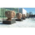 CUPA Kuipplantenbeschermhoes 2,0x2,4m - vorstbescherming