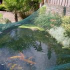 Cordata Vijvernet 2x3m