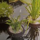 Floating Plant Basket 35cm