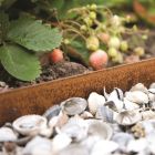 Kantopsluiting Corten staal ongecoat 3mm/10,2cm incl. 3 pennen