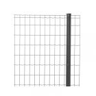 Pantanet Family Tuingaas antraciet 25m - hoogte 152cm 