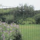 Pantanet Light Tuingaas groen 25m - hoogte 60cm