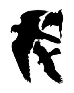 Vogelsilhout Zwart 1 Vel 3 P.U.